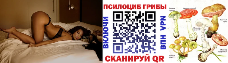 Псилоцибиновые грибы прущие грибы  даркнет сайт  Тверь 